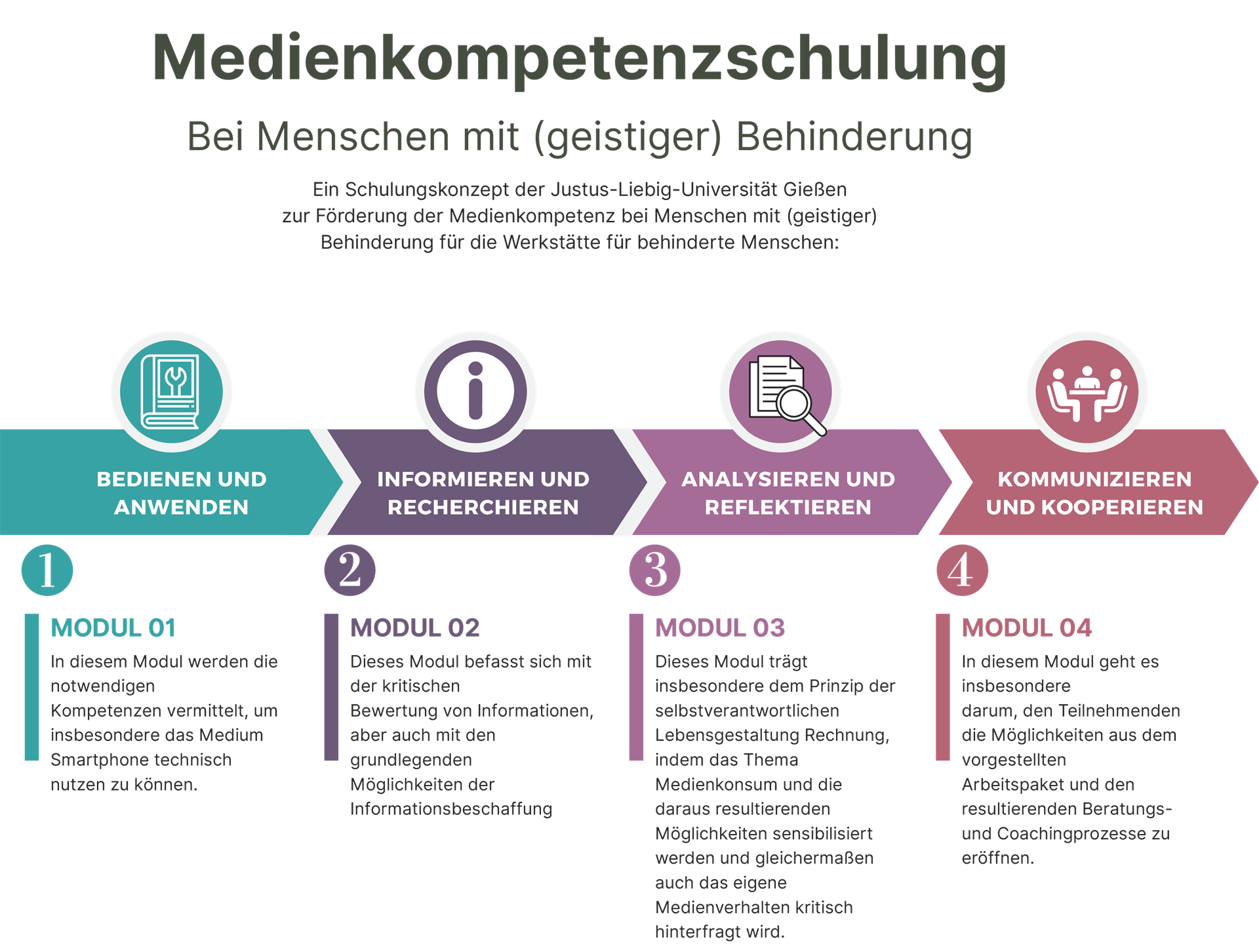 grafische Darstellung Medienkompetenzschulung Module im Projekt BfA Gelingt