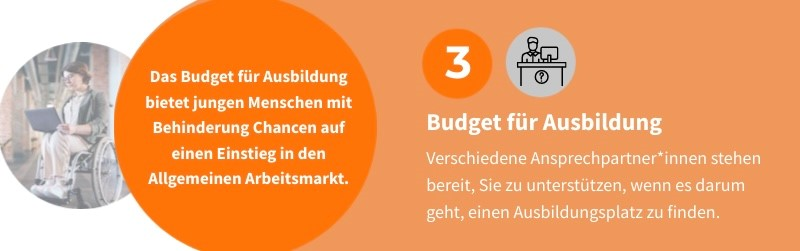 Grafik Budget für Ausbildung und Budget für Arbeit