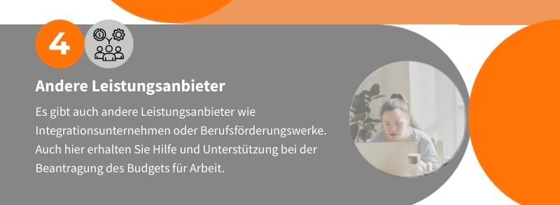 Grafik Andere Leistungsanbieter und Budget für Arbeit