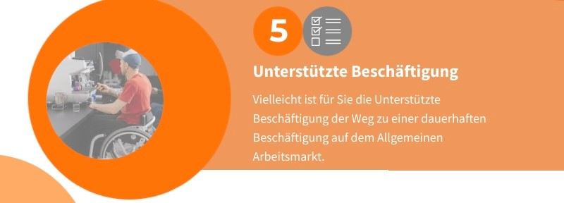 Grafik Unterstützte Beschäftigung und Budget für Arbeit